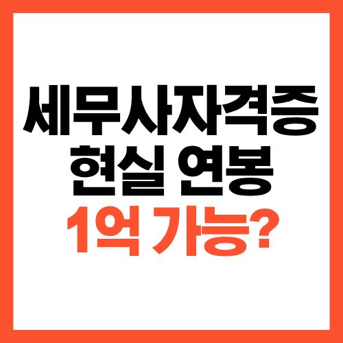 세무사 자격증 현실 연봉