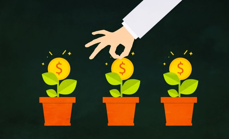 화분에서-자라나는-돈