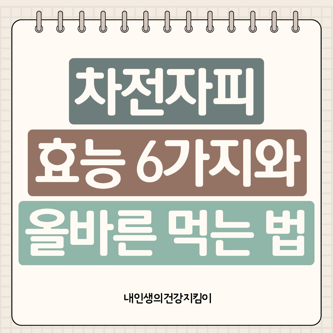 차전자피 효능 6가지와 올바른 먹는 법 ❘ 다이어트 변비 해결사의 모든 것