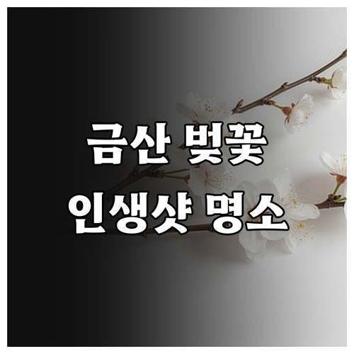 2026 금산 벚꽃 명소별 특징 비교..