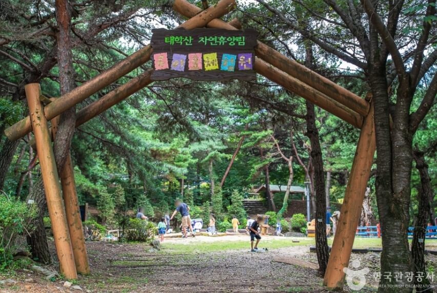 천안 가볼만한곳 베스트 10