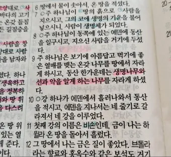 창세기 3장 원죄 구원 묵상_11
