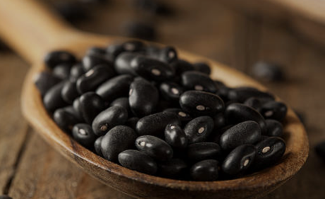 서리태 효능과 부작용 서리태 콩물 만드는 방법 총정리(24년 Ver) 