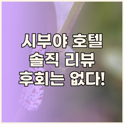 시부야 호텔, 이것만 알면 후회는 없