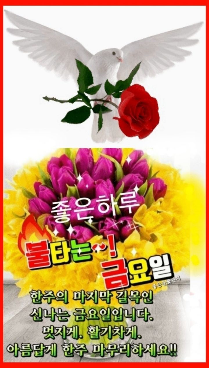 금요일 인사말 9