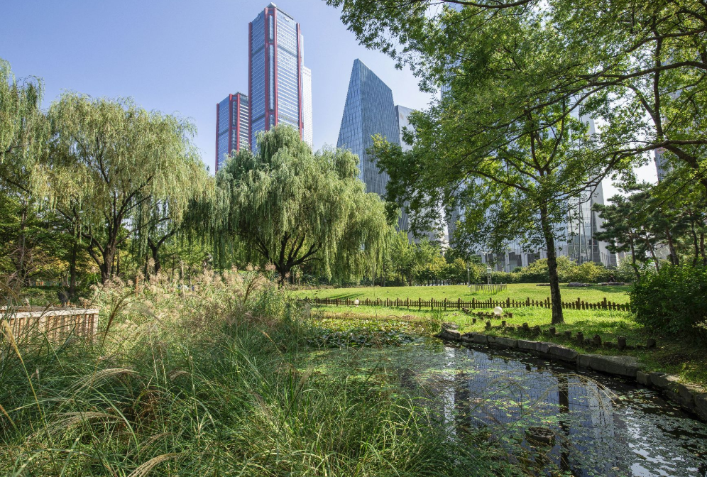 영등포 여의도 봄꽃축제 2025 맛집 주차 꿀팁정리