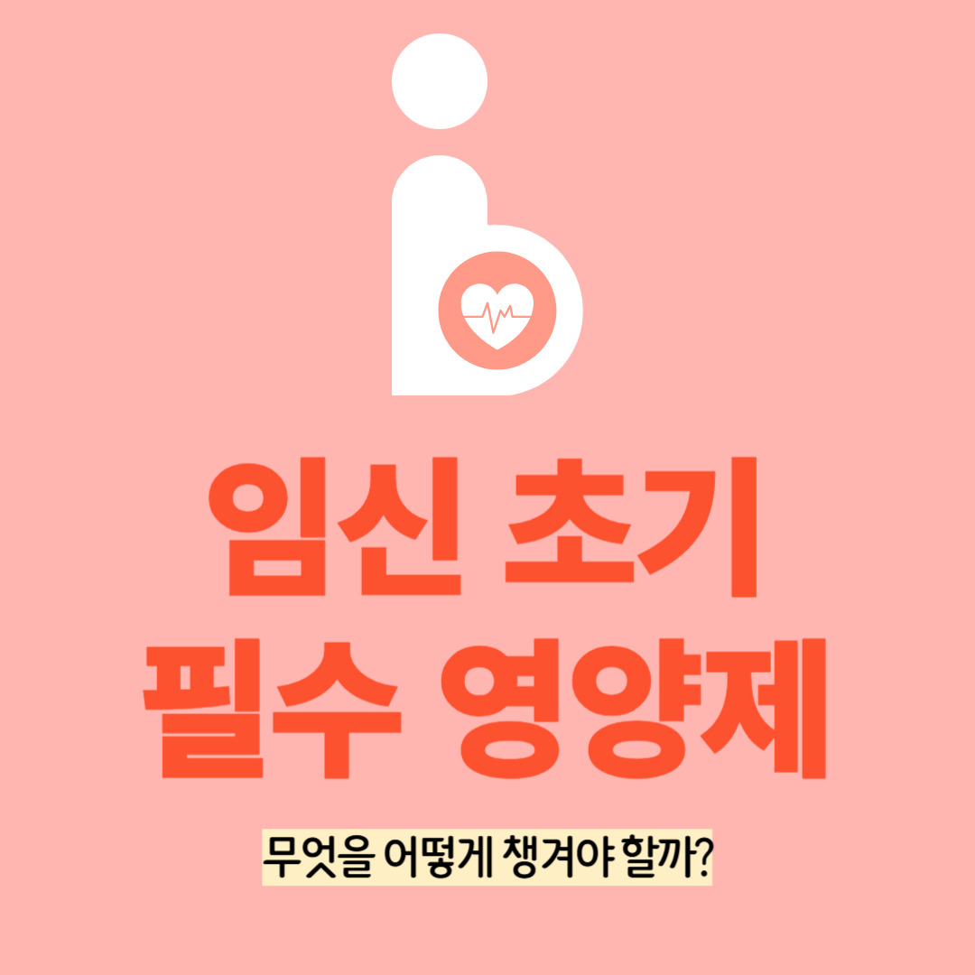 임신 초기 영양제