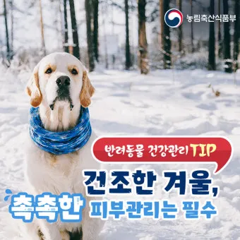반려동물관리사 자격 교육커리큘럼 실습장비 취업처_15