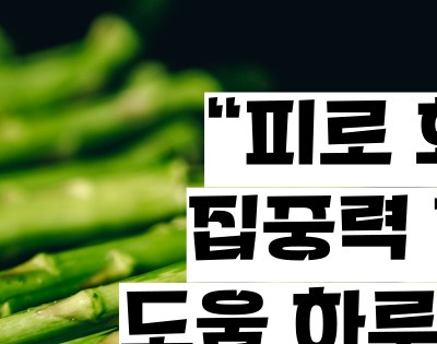 아스파라거스 효능