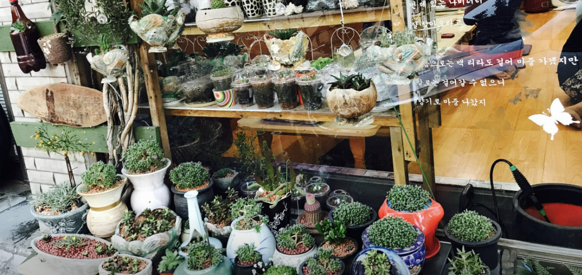 동네한바퀴 동작구 팥칼국수 팥요리