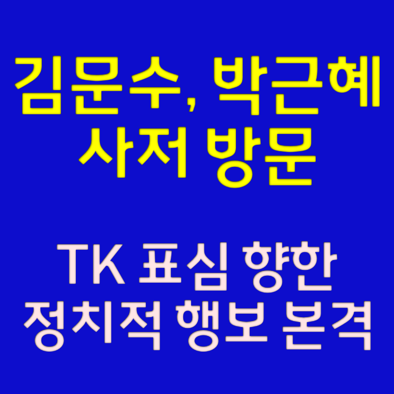 김문수, 박근혜 사저 방문