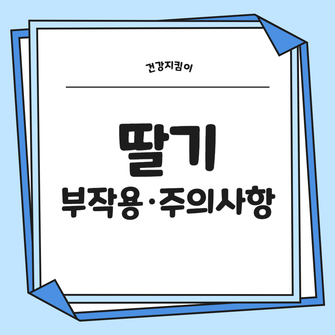 딸기 효능 부작용 칼로리 고르는법