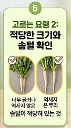 냉이 손질법 및 싱싱한 보관 꿀팁