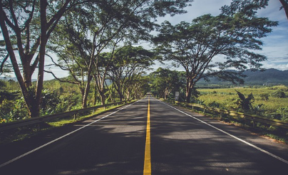 고속도로-교통상황-cctv