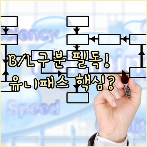 H B/L M B/L 구분 유니패스 ..
