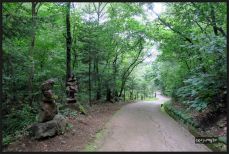 용인자연휴양림