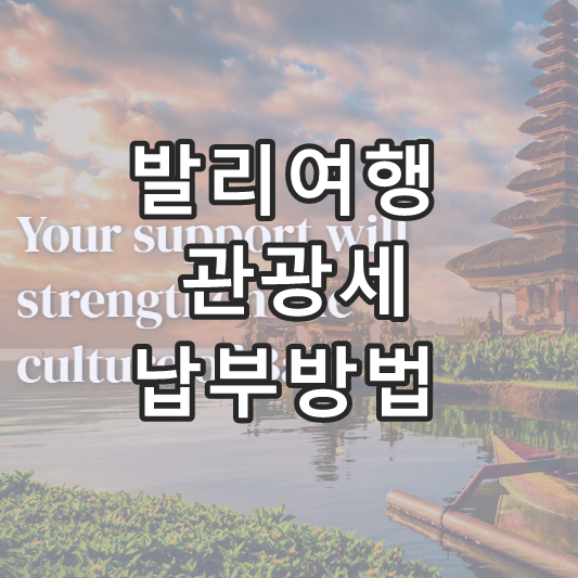 발리 관광세 납부