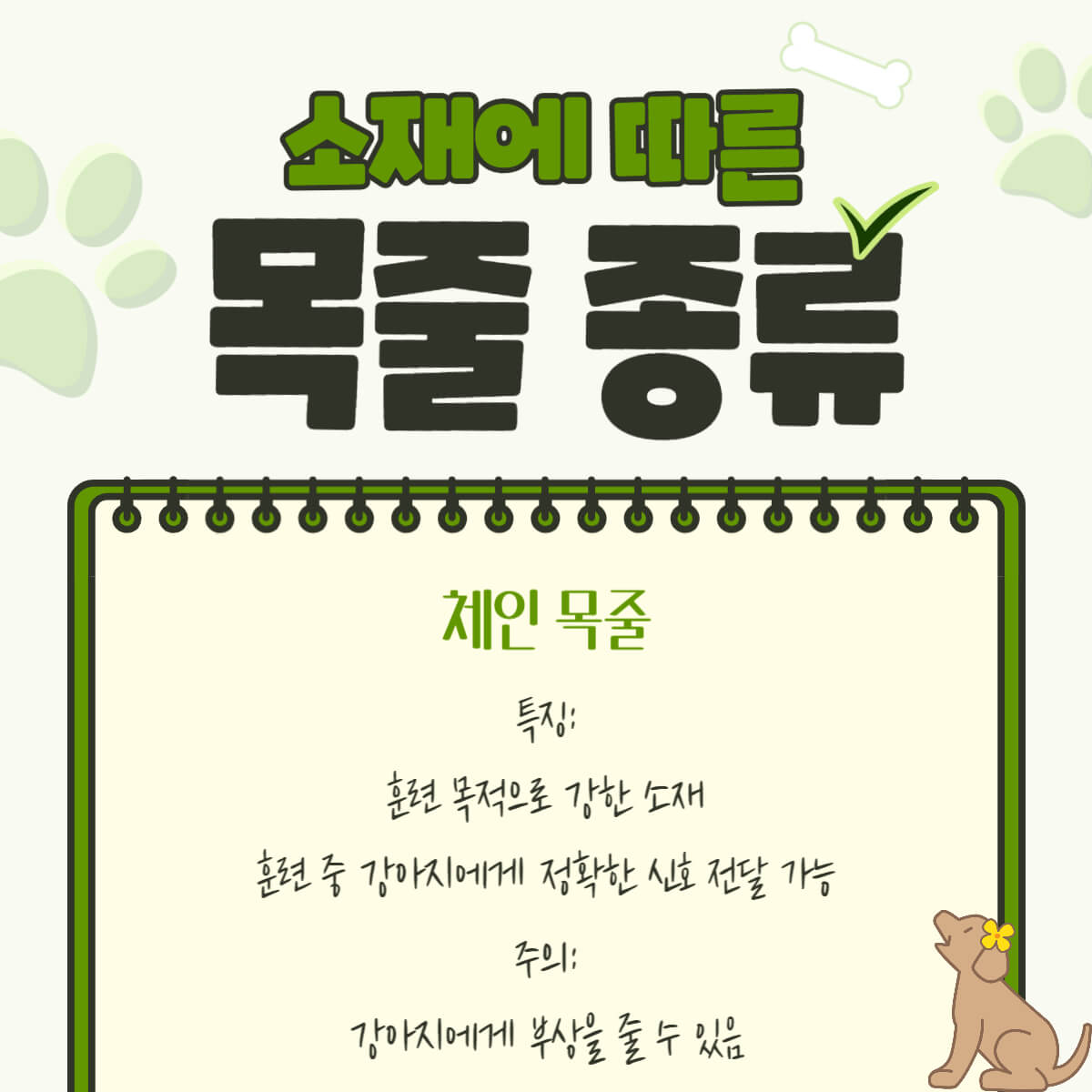 강아지 반려견 목줄 종류 특징 추천