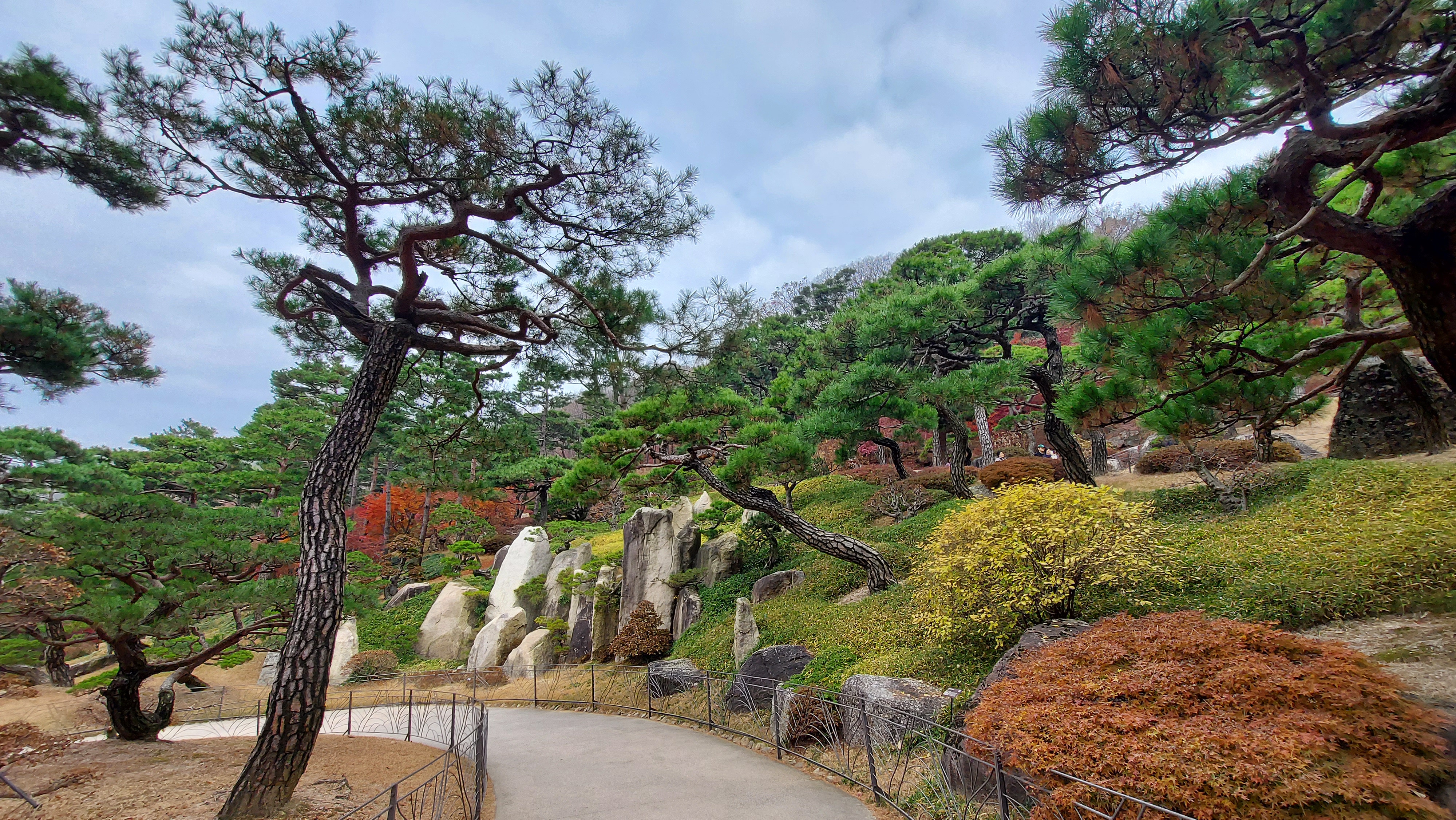 곤지암 화담숲 단풍