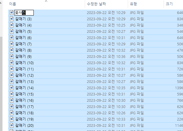 파일 이름 일괄 변경 오류
