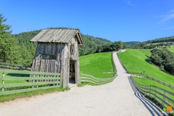 평창 대관령 목장