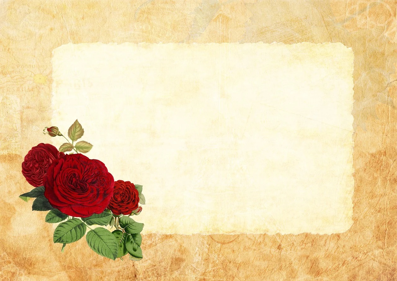 전북 여성농업인 생생바우처 카드 사용처 조회 방법