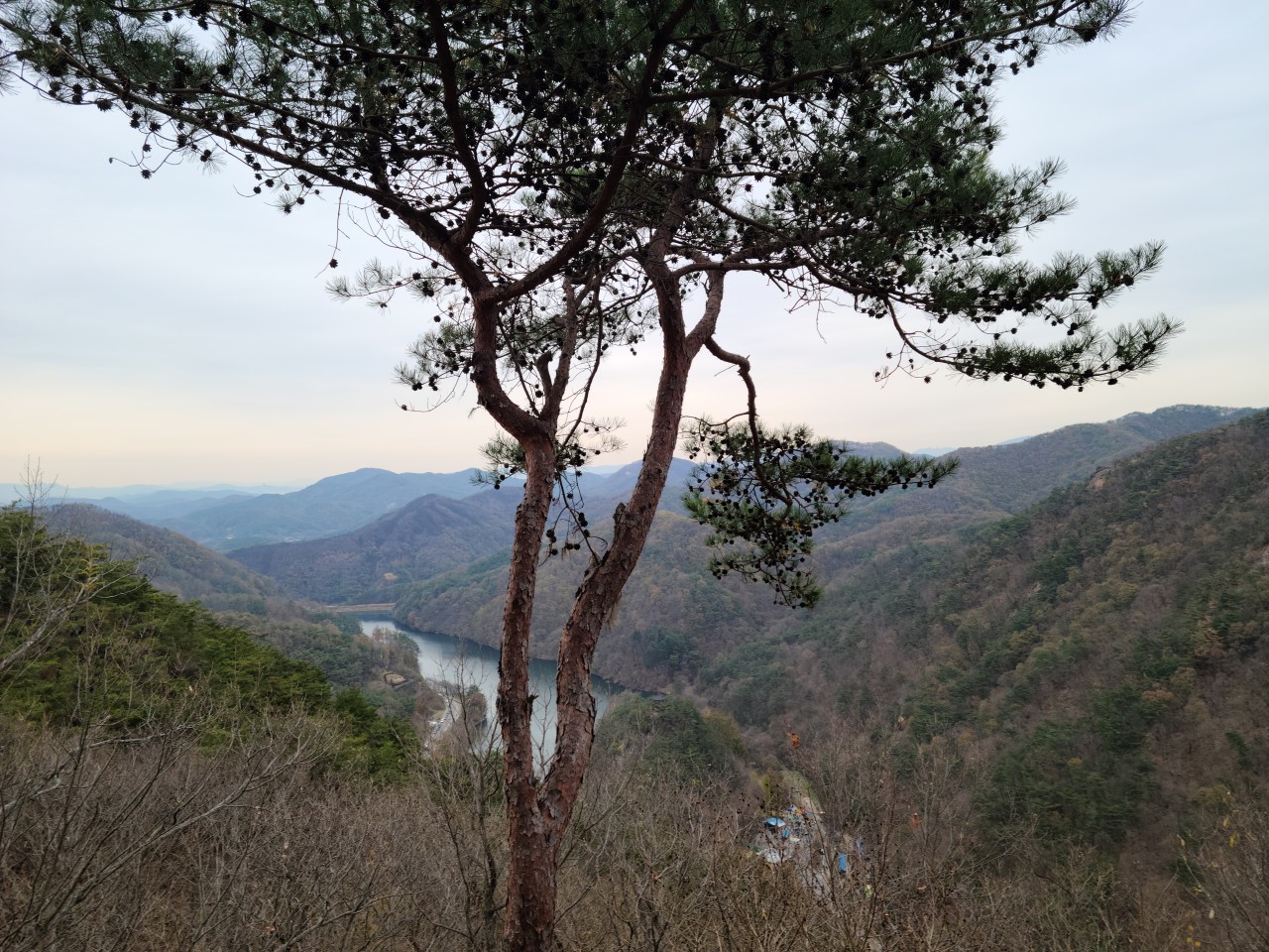 장태산 자연휴양림 예약_77