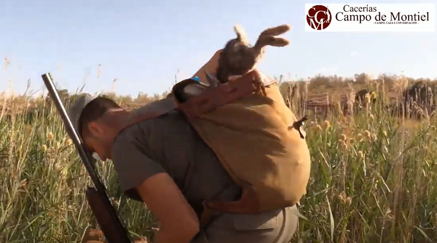 스페인 토끼 전문 사냥꾼