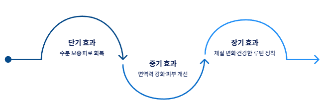 참외 효능