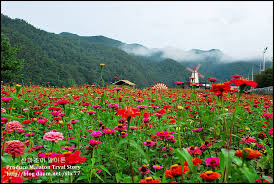 추석 연휴 국내 여행지 축제 5
