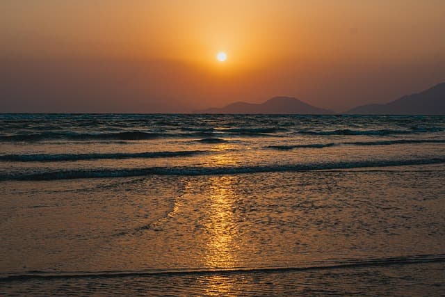 해수욕장 개장일