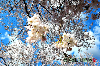 화담숲예약하기