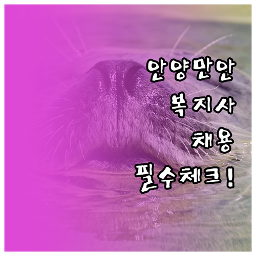 안양 만안구 시니어클럽 사회복지사 지..