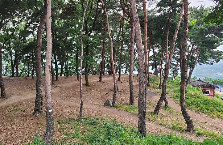 세마대
