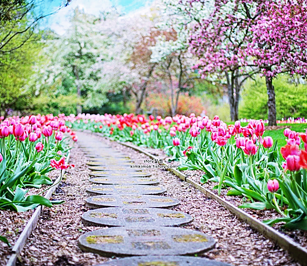 4월 인사말 문구