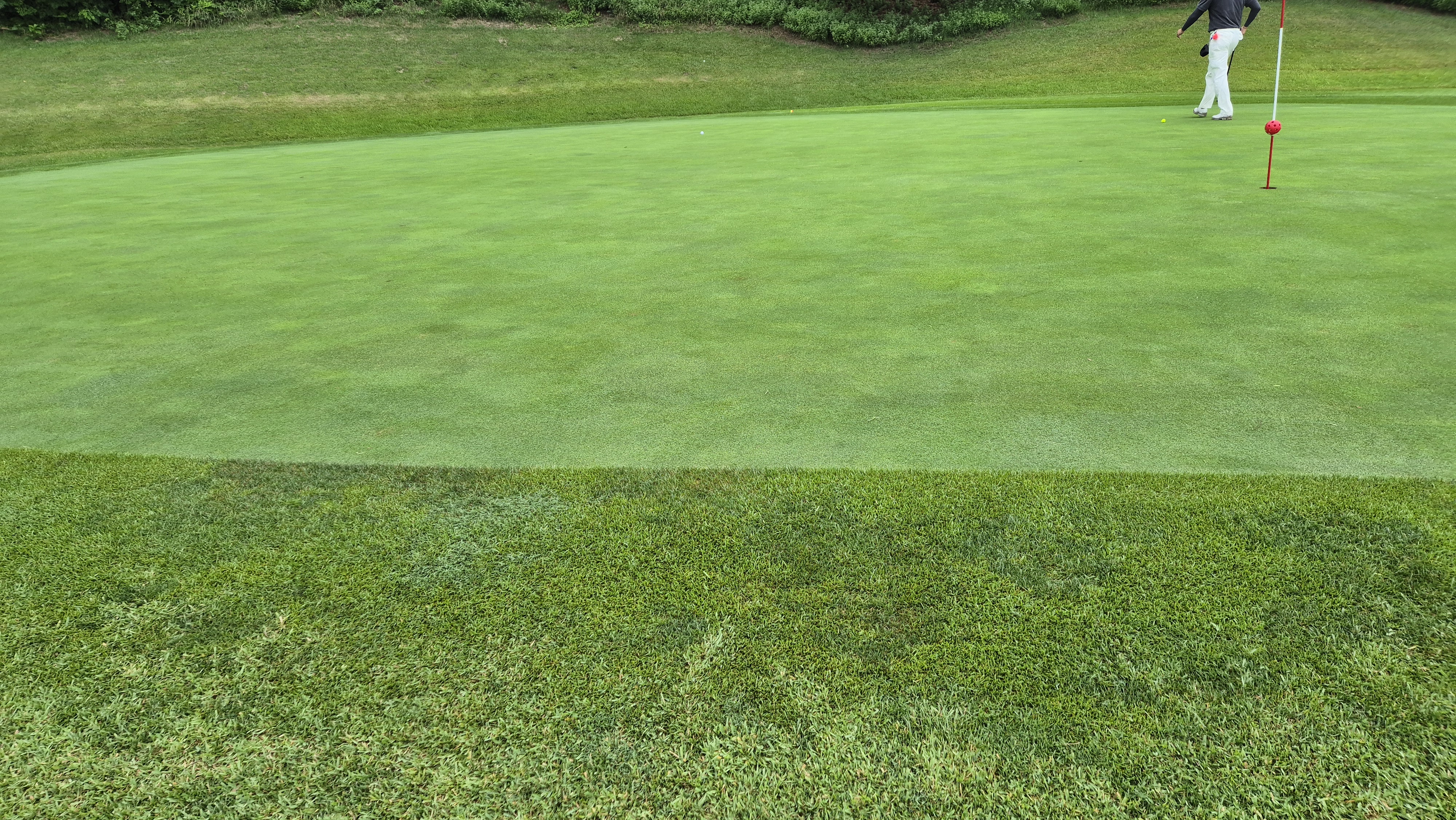 뉴스프링빌cc 라운드 후기