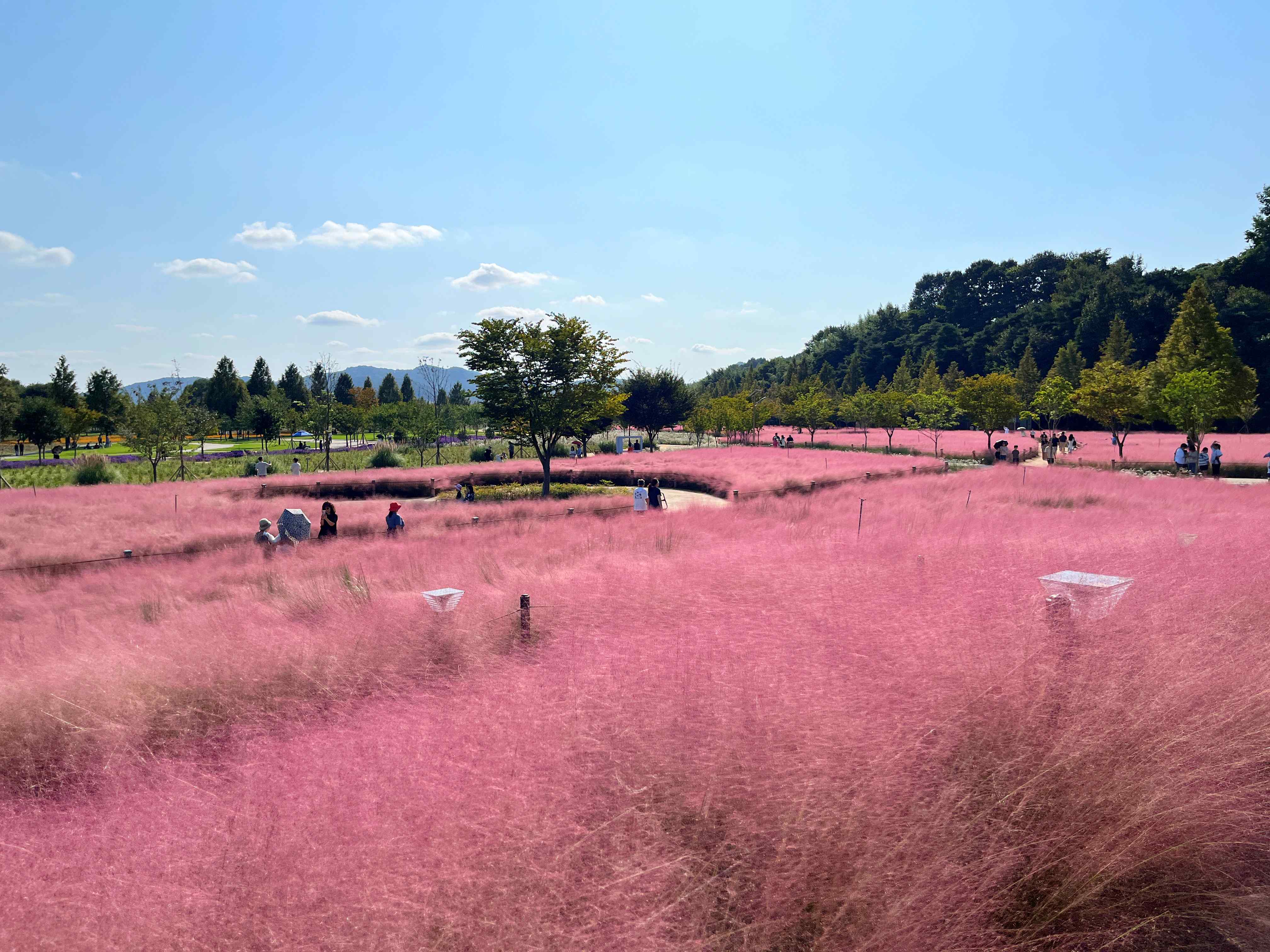 신소양체육공원
