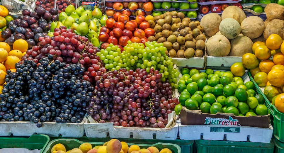 면역력을 강화하기 좋은 음식 알아보아요