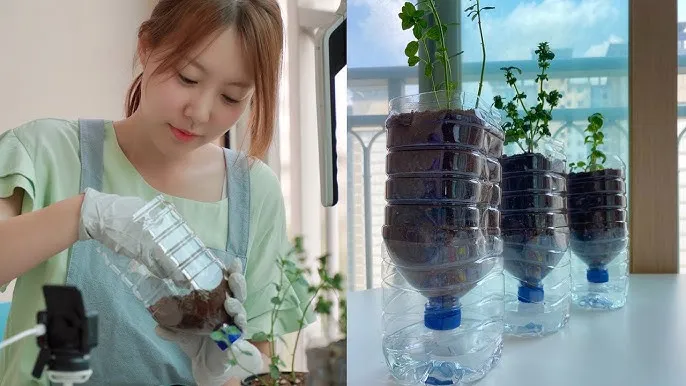 자동급수 화분 선택 물탱크관리 여행중건조 예방 쉬운 사용법_7