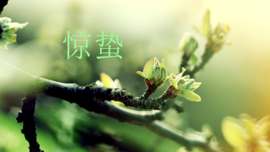 계절의 변화를 세분화한 24 절기 중 '경칩' 이해하기