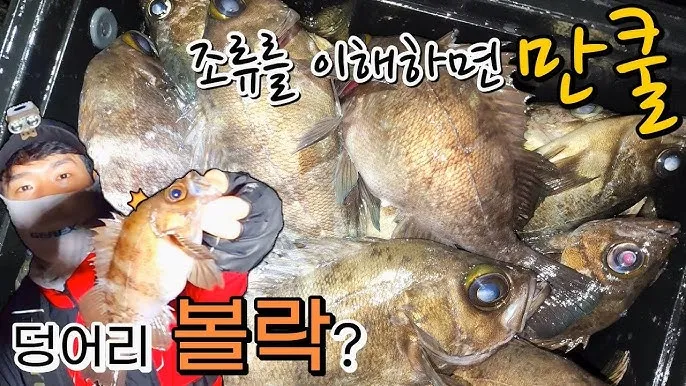 웜낚시 노하우 배스 저수지 바닥층 스테이와 라인 텐션 유지_5