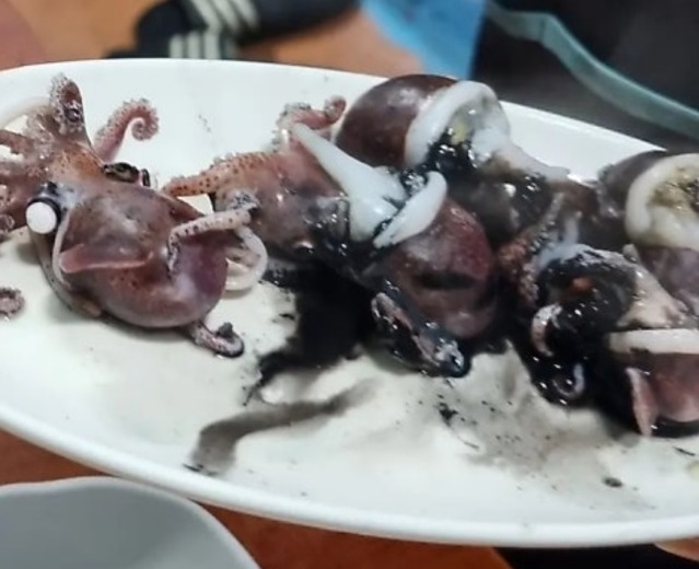 백반기행-통영-다찌-쌓인정-신선한해산물