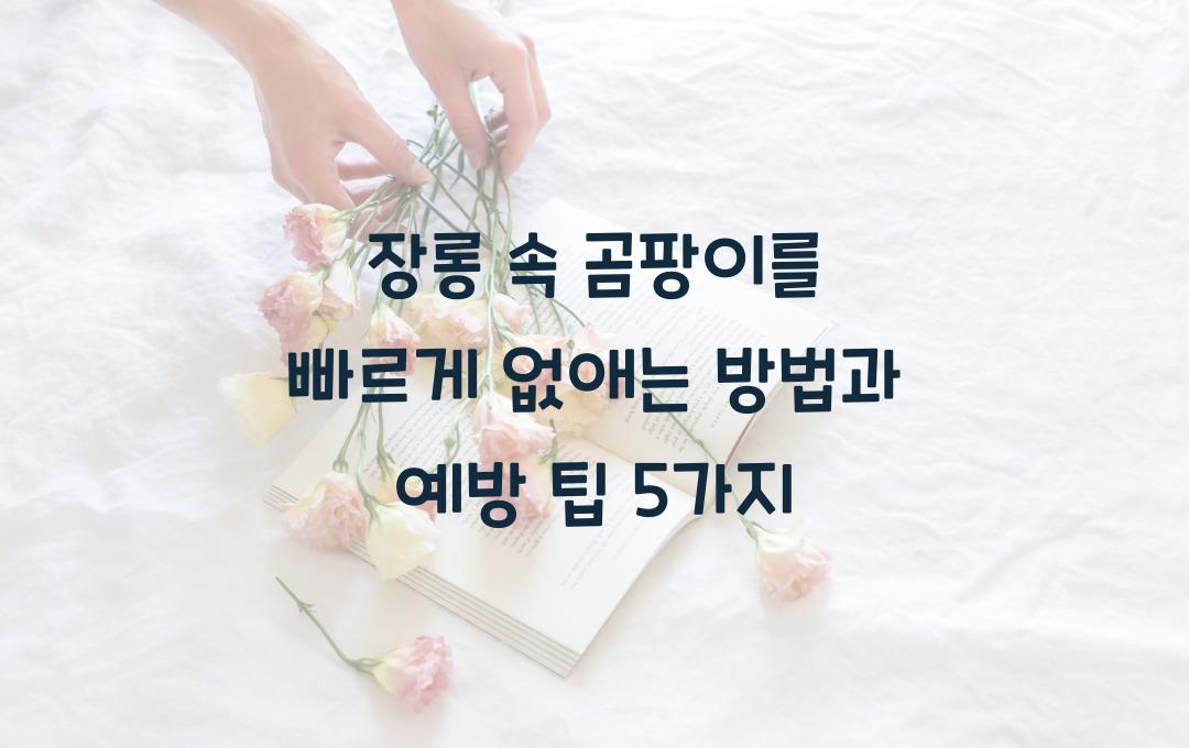 장롱 속 곰팡이를 빠르게 없애는 방법
