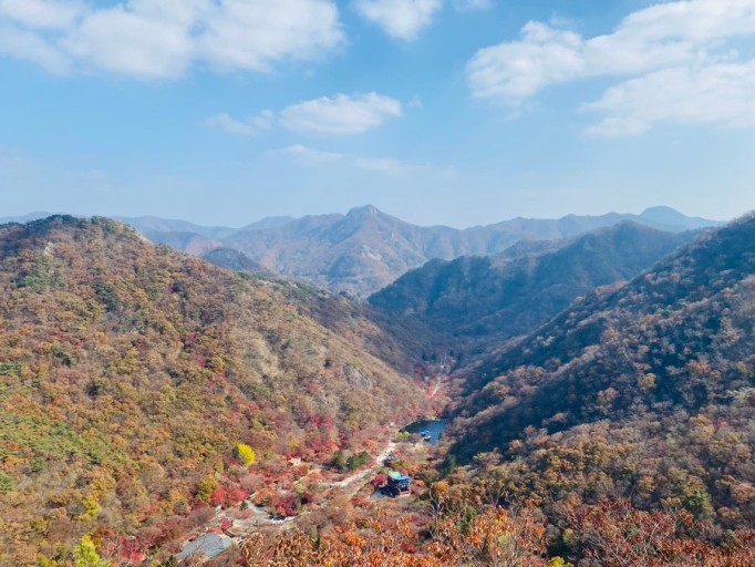 내장산 단풍시기