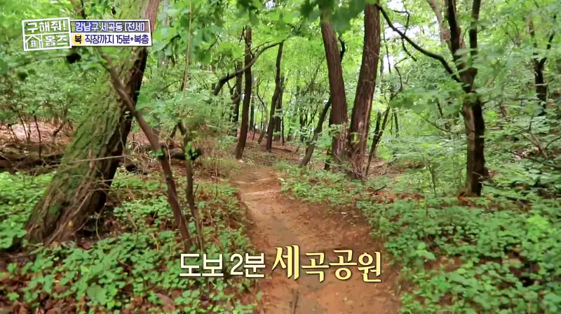 구해줘홈즈 강남구 세곡동 세모의 집 다가구 주택 하우스 매물 가격 및 구조 인테리어 리모델링 소개