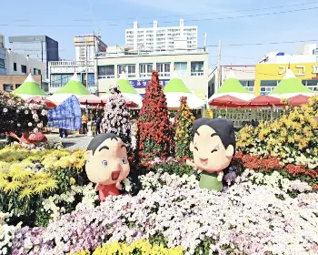 마산 가고파 국화축제_26