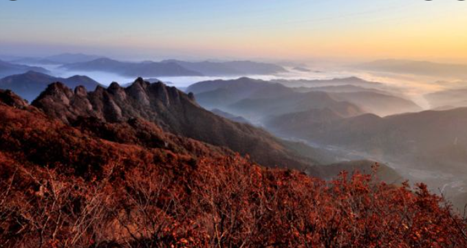 2025 충청도 단풍 명산 코스 추천 ❘ 월악산·계룡산·속리산 절정 시기
