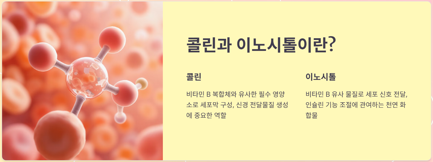 콜린, 이노시톨 이란?