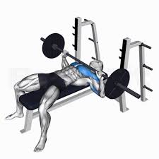 기초대사량을 높이는 근력운동