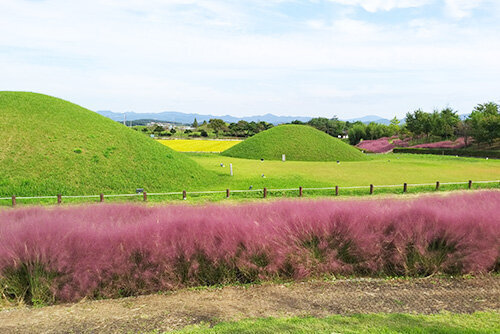 국립나주박물관 반남고분